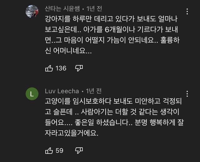 아기 입양전 위탁하는 가정이 생각보다 힘든 이유 | 인스티즈