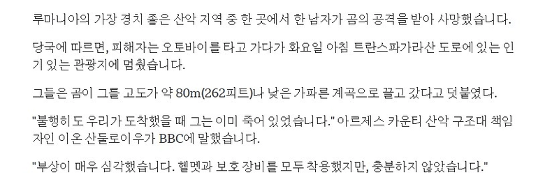 스크린샷 2025-07-11 094944.png 야생 곰 사진을 찍으며 여행하던 바이커의 비극