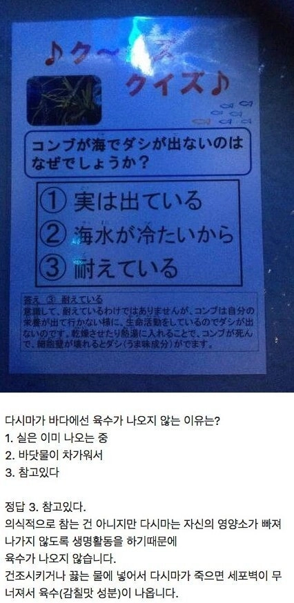 다시마가 바다에선 육수가 나오지 않는 이유.jpg