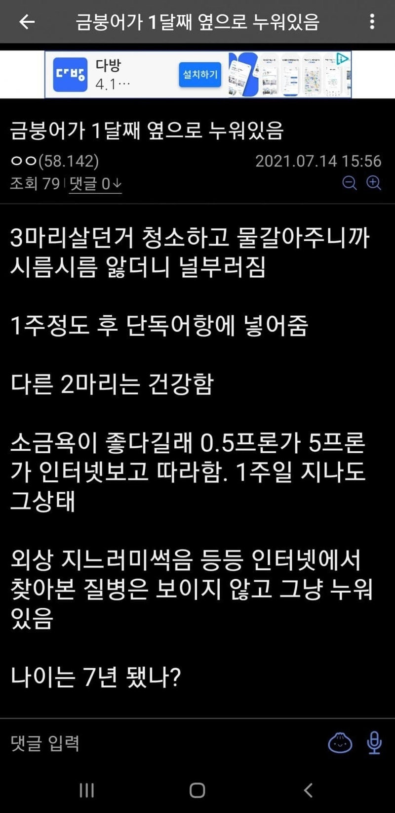 1634133484.jpg 오늘자 디씨 힛갤 금붕어.gif