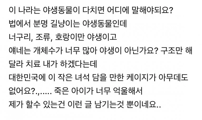 3.jpeg 119 구조대가 안와서 화난 캣맘 ㄷㄷㄷ.jpg 119 구조대가 안와서 화난 캣맘