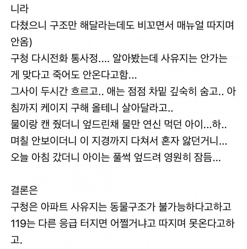 2.jpeg 119 구조대가 안와서 화난 캣맘 ㄷㄷㄷ.jpg 119 구조대가 안와서 화난 캣맘