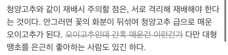 17550095793595582737336158707766.jpg 고추 처음 키워보는 사람들이 자주 하는 실수 jpg