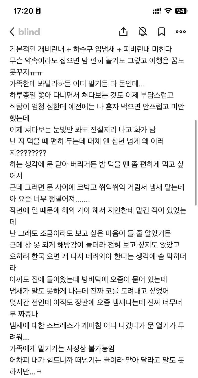 3BC8F378-0BA2-466E-BEF1-D8FA750EAEDC.jpeg 노견이 되니 정떨어진다는 블라인