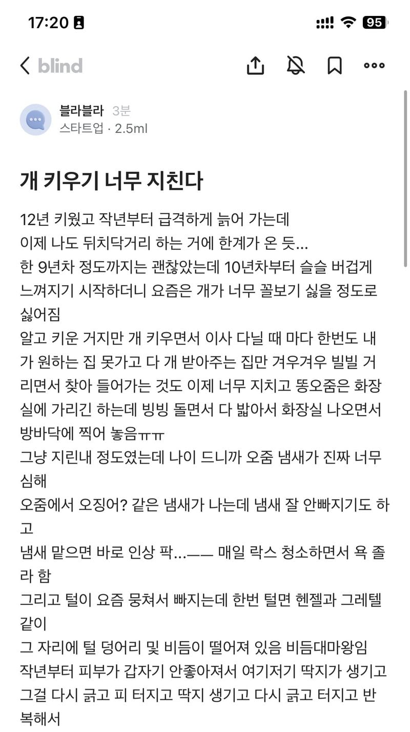 AD95540D-C9AA-460A-965B-5F7C3670C71B.jpeg 노견이 되니 정떨어진다는 블라인