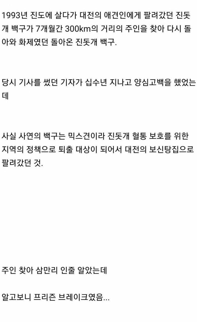 0CDD3DA8-329A-4B57-8028-860C9623B291.jpeg 추억의 하얀마음 백구의 불편한 진실