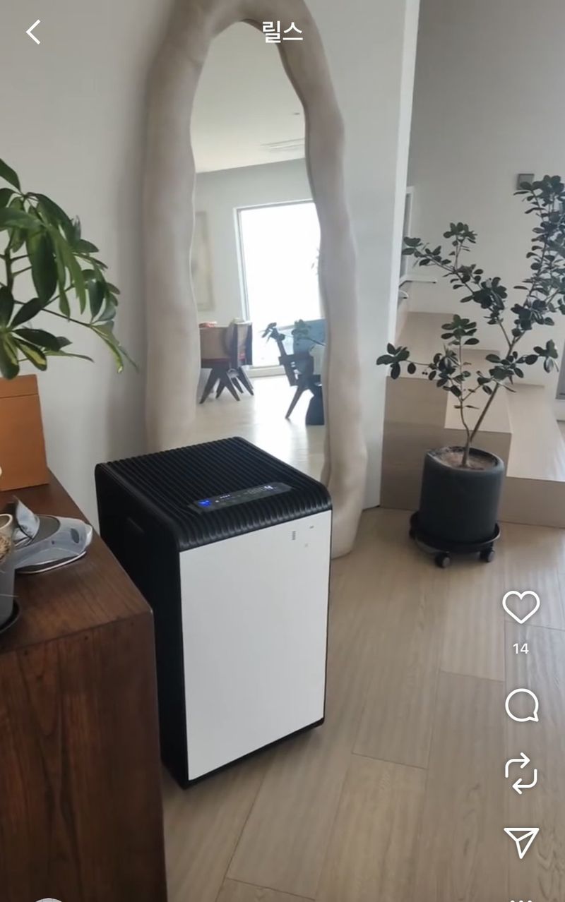 7etzOR6gXSYkKQswCSaocq.jpg 박나래 주사이모 인스타에 샤이니 키 집, 강아지들