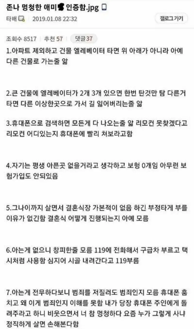 1.jpg 엄마가 경계선지능 이라는 디시인