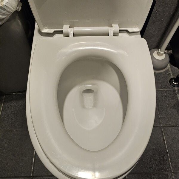 공중 화장실 변기" 이것만 조심하세요, 세균 1억 마리 의자 앉는 것입니다 < 건강정보 < 기사본문 - 건강의 모든 것