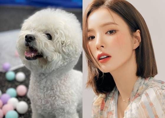 사랑하며 닮는다더니..신세경, 똑닮은 장남 향해 애정 가득 [스타IN☆]