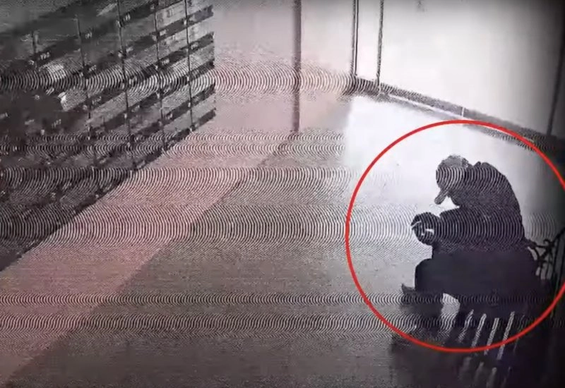 아파트 현관서 떠나지 않던 남성…가까이 다가가니 '억'(영상) - 파이낸셜뉴스