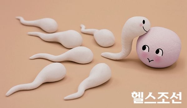 밤꽃 냄새…알아두면 쓸데없는 정액 이야기 - 헬스조선
