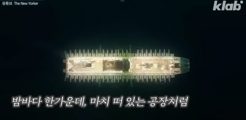 스크린샷 2026-01-10 155835.png 요즘 오징어가 비싸진 이유