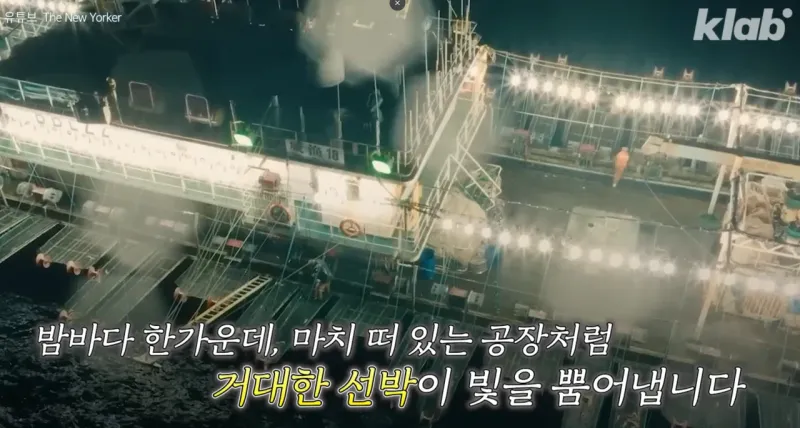 스크린샷 2026-01-10 155846.png 요즘 오징어가 비싸진 이유