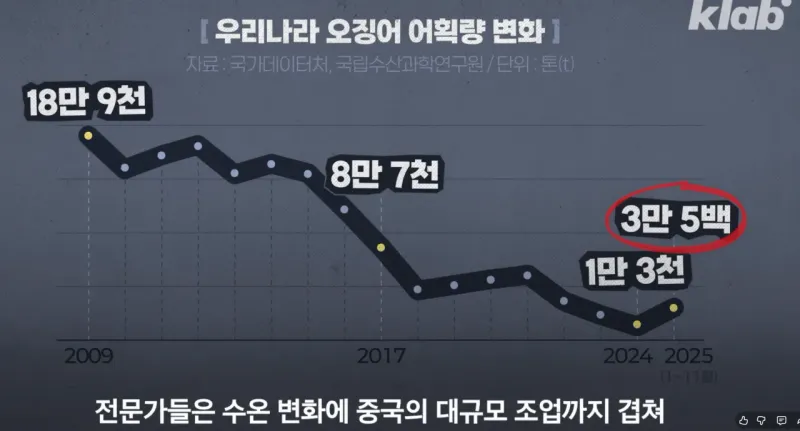 스크린샷 2026-01-10 160210.png 요즘 오징어가 비싸진 이유