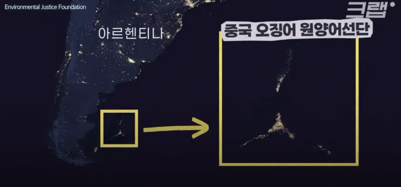 스크린샷 2026-01-10 155935.png 요즘 오징어가 비싸진 이유