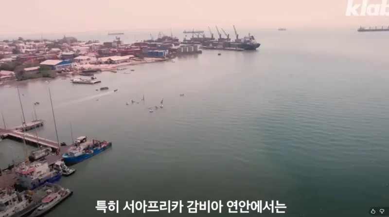 스크린샷 2026-01-10 160134.png 요즘 오징어가 비싸진 이유