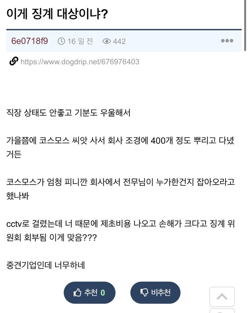 회사에 몰래 코스모스 씨 뿌렸는데 징계 대상이래_1.jpg