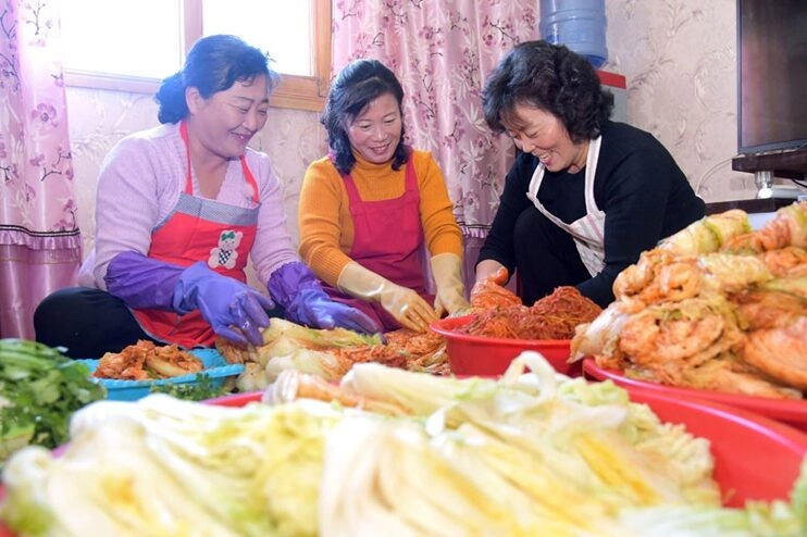 김장하는 집보다 포기하는 집 더 많아져…김장 문화 사라지나 | DailyNK