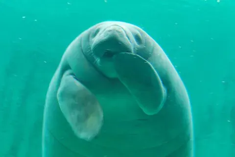 4bM5FnNYHKoWSIm0yoe2GQ.jpg 아들에게 24년동안 거짓말을 해온 아버지ㄷㄷㄷ