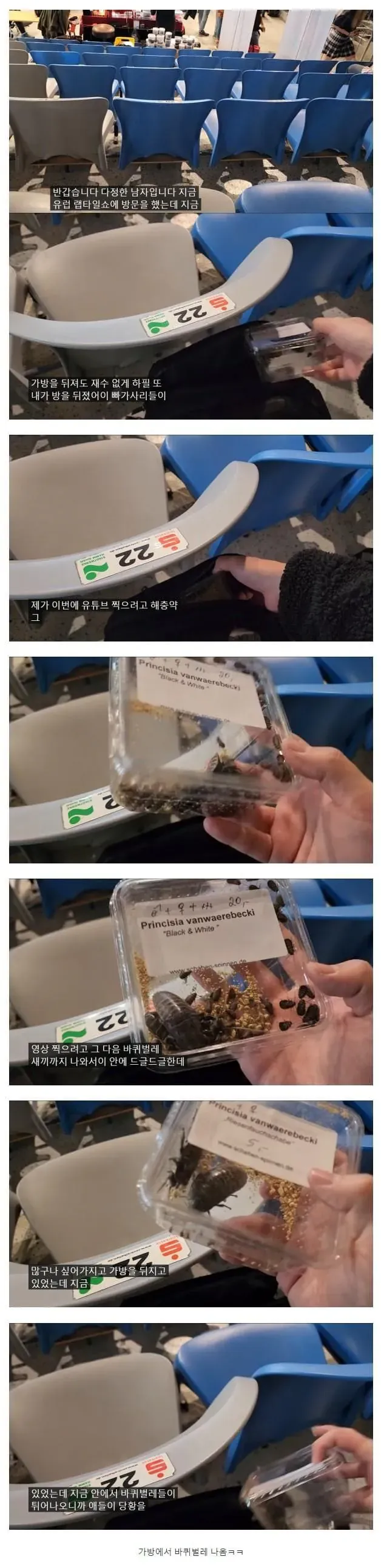 (혐주의) 유럽에서 강도당했다가 강도한테 욕먹은 생물 유튜버.jpg