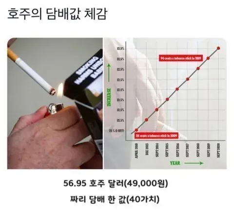 호주에서 담배한갑의 가치 ㄷㄷㄷ