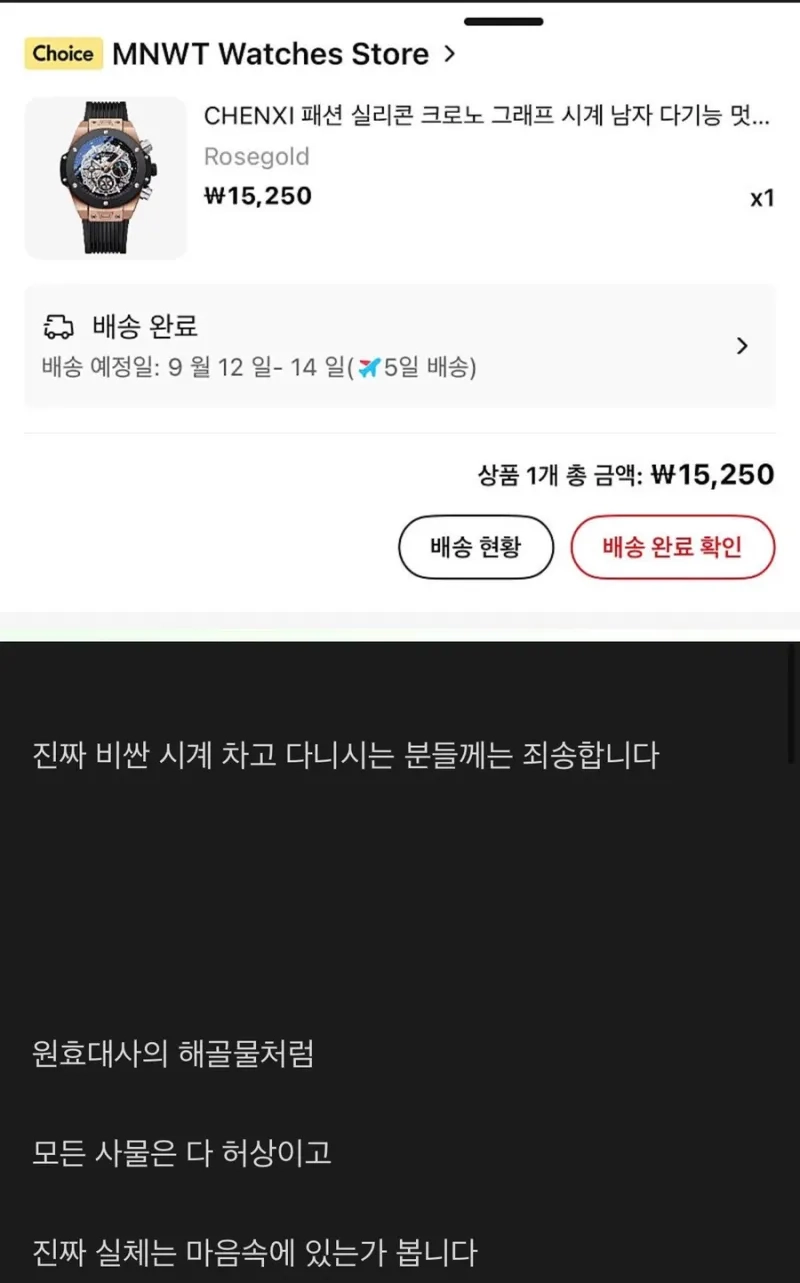 억대 수익 인증 올리던 주식카페 유저의 시계자랑.jpg