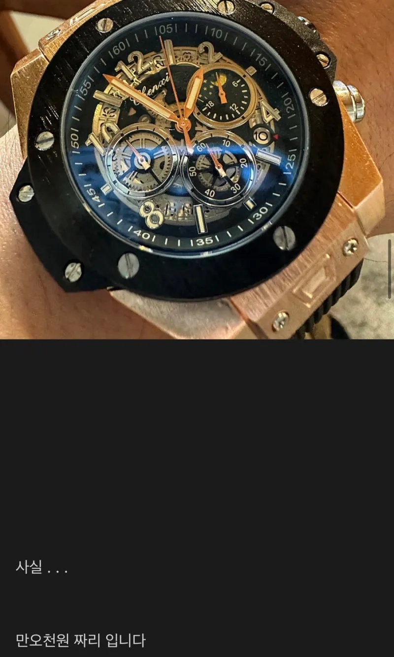 억대 수익 인증 올리던 주식카페 유저의 시계자랑.jpg