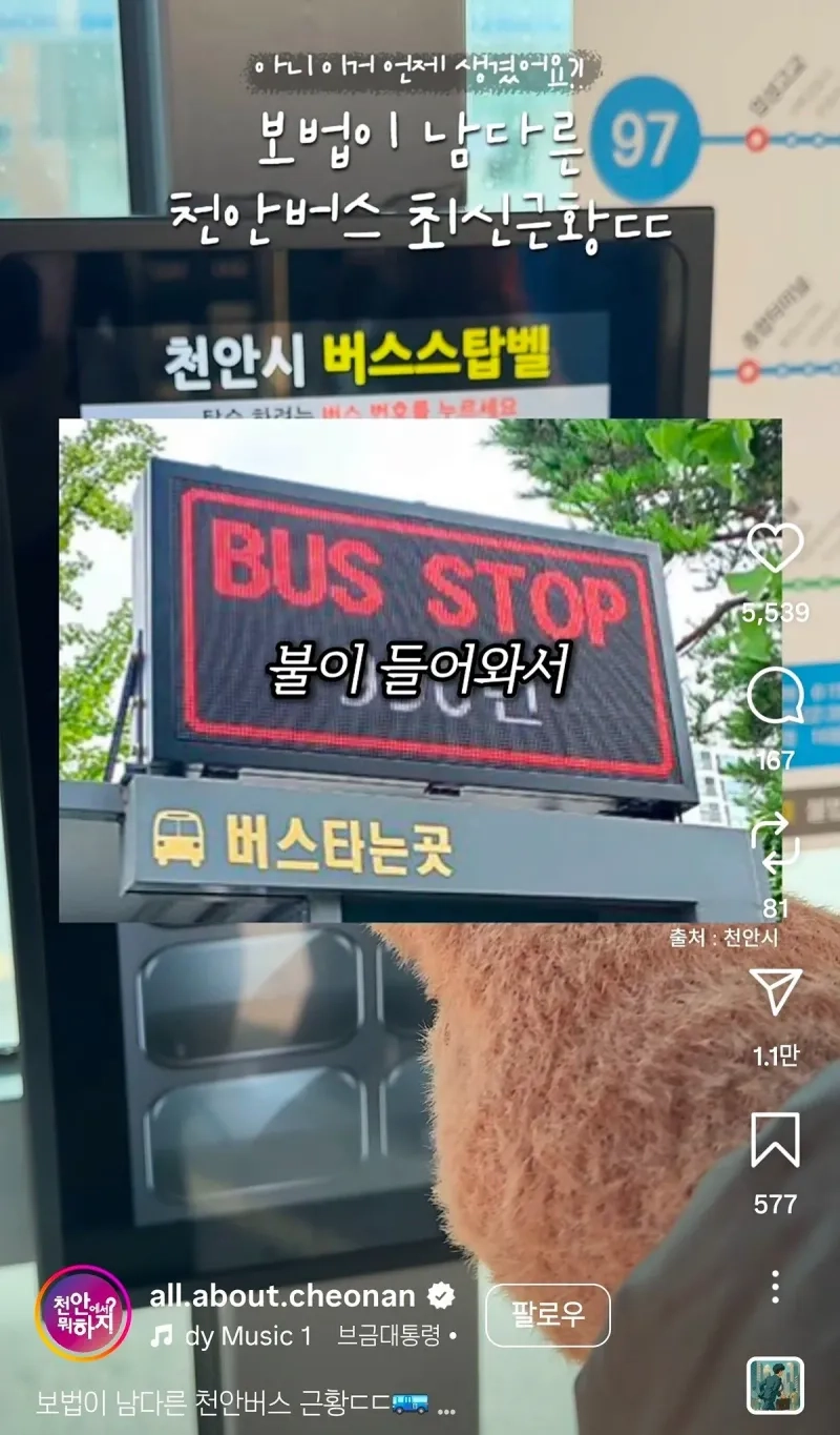 bnVFGO.jpg 보법이 다른 천안버스 근황 ㄷㄷㄷ