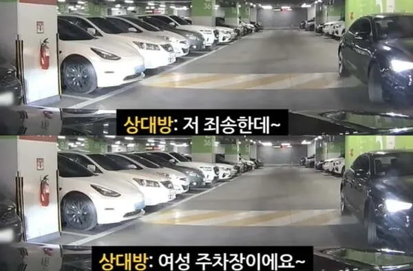 주차 이야기 9.jpg 여성주차칸에.. 남자가 써도 돼요? 여성주차칸에.. 남자가 써도 돼요?