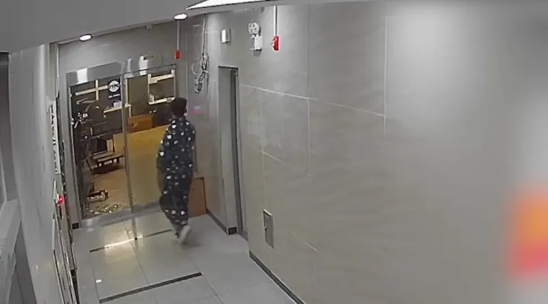 추천하는남자 (7).png 그래피칵드 3개 절도 당했으나.. 가져오면 선처해준다는 유튜버