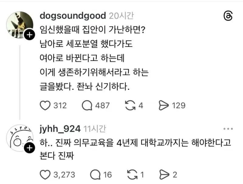 19c8a8afb3251a42.webp 임신했을 때 집안이 가난하면 여아로 태어난다.