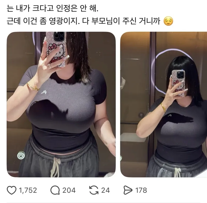 ㅇㅎ) 내가 가슴 크다고 인정은안해 라는 글에 달린 댓글