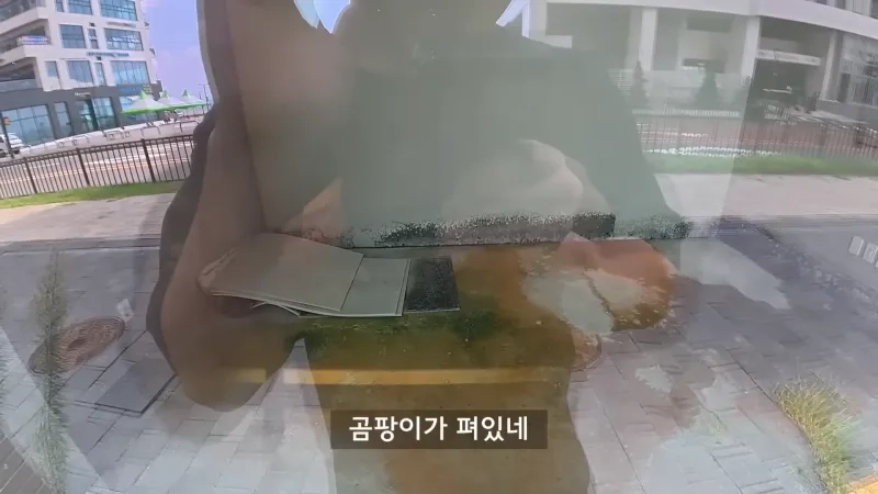 a86d3faf1a21bd5a8596fb92298473691c7eb621d86ccad39815f40b5cba48e1702fbb00dd