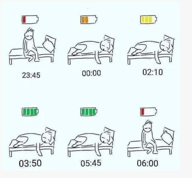 image.png 잘 때 몸이 회복하는 신비한 과정.jpg