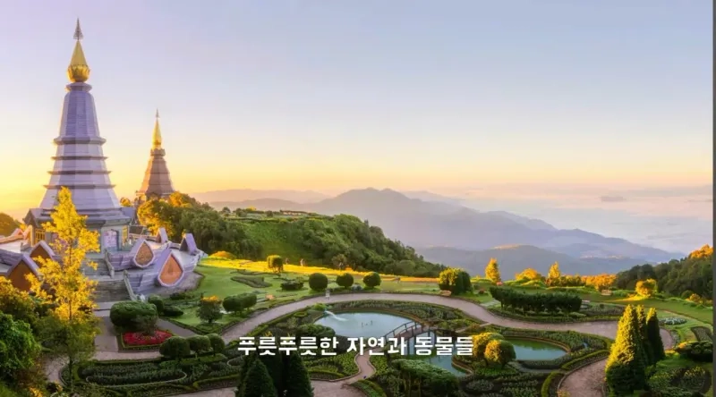 1000028458.jpg 4년째 해외여행중인 유투버가 뽑은 최악 여행지.JPG