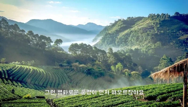 1000028459.jpg 4년째 해외여행중인 유투버가 뽑은 최악 여행지.JPG