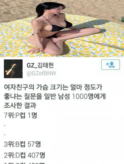여자친구의 가슴 크기 호불호 조사